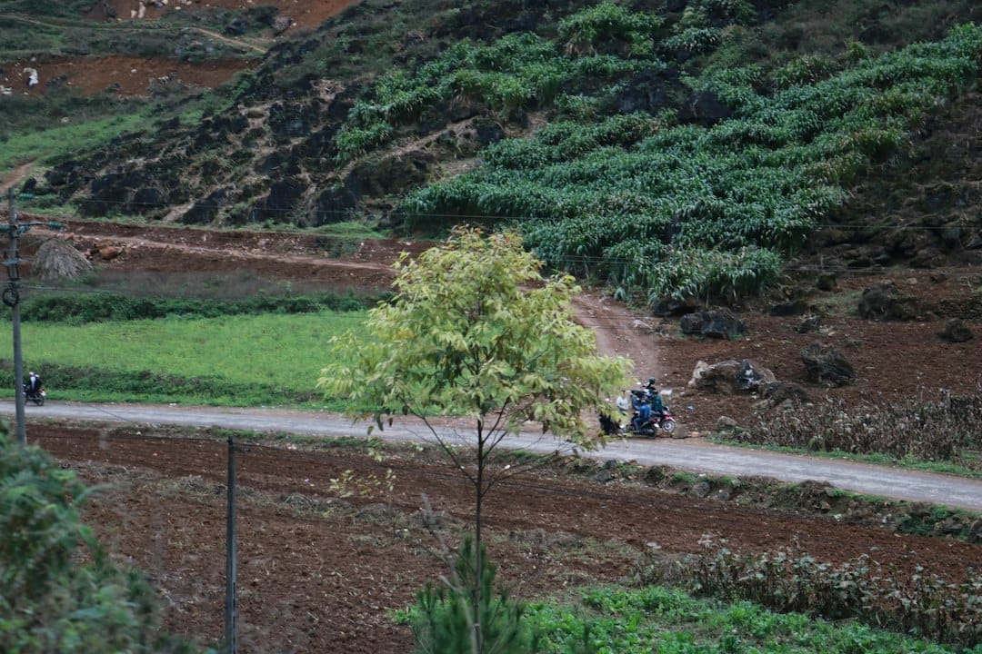 Mordeduras de víboras en tareas rurales: cuándo el cuartel tiene suero antiofídico y cuándo no