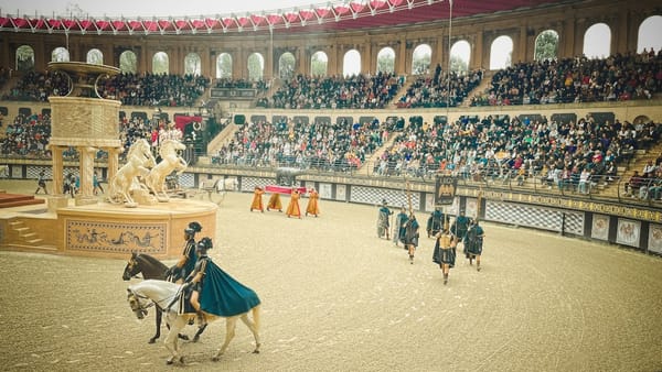 Festivales de doma y folclore: cómo operar con palenques y animales sueltos cerca del escenario