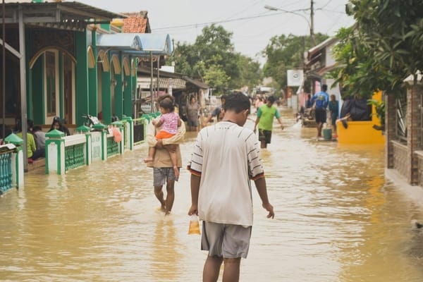 Unidades anfibias y aerodeslizadores en inundaciones repentinas: ¿tiene sentido para un cuartel argentino?