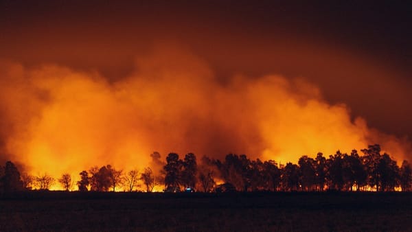 Incendios en plantas de biodiesel y aceites vegetales usados: el riesgo de autoignición que no se ve